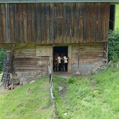Bergpension-Ebental Brixen im Thale Zewnętrze zdjęcie