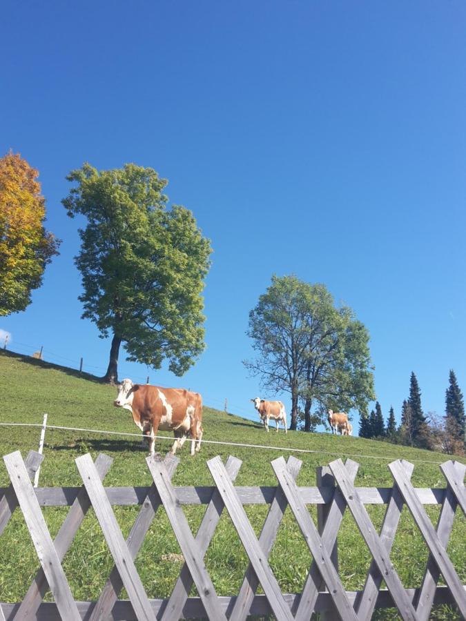 Bergpension-Ebental Brixen im Thale Zewnętrze zdjęcie