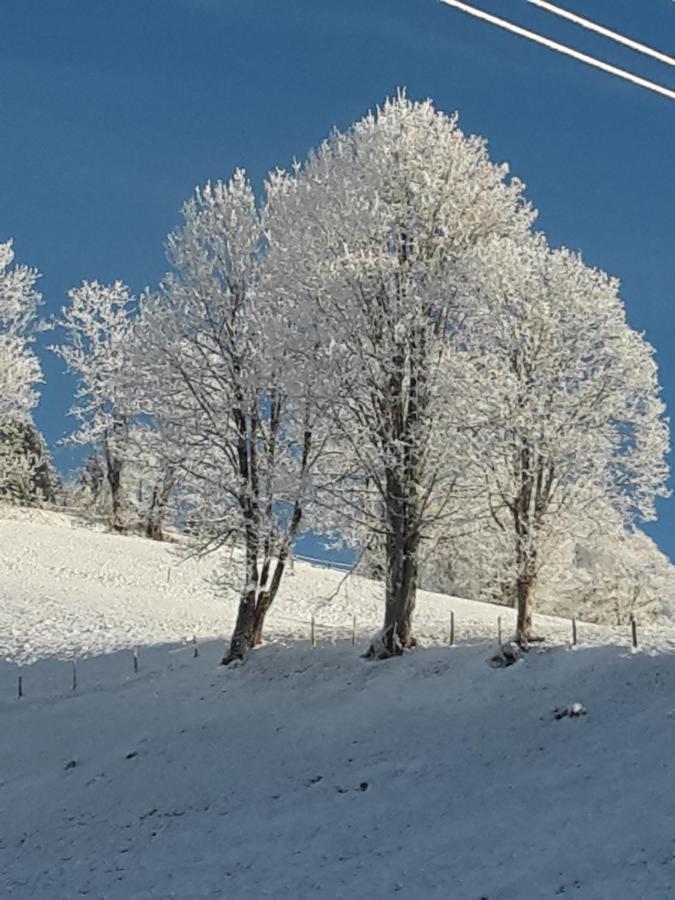 Bergpension-Ebental Brixen im Thale Zewnętrze zdjęcie