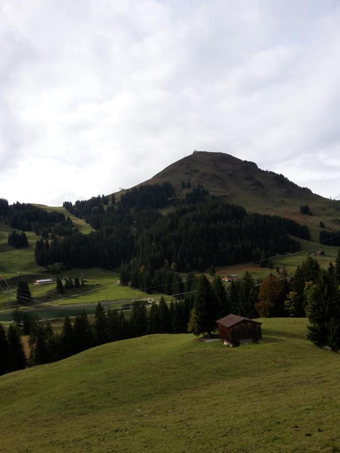 Bergpension-Ebental Brixen im Thale Zewnętrze zdjęcie
