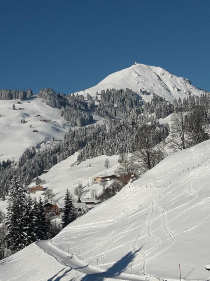 Bergpension-Ebental Brixen im Thale Zewnętrze zdjęcie