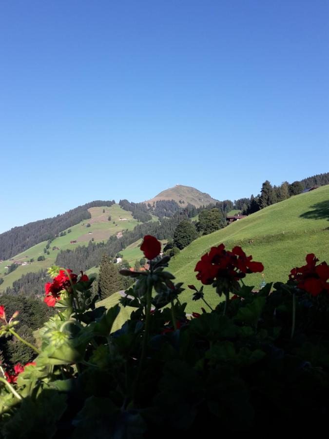 Bergpension-Ebental Brixen im Thale Zewnętrze zdjęcie