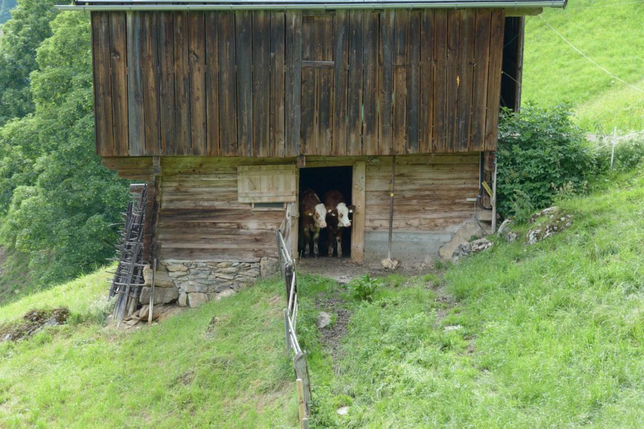 Bergpension-Ebental Brixen im Thale Zewnętrze zdjęcie